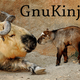 Illustration for article titled I know the topic of the day is GnuKinja but